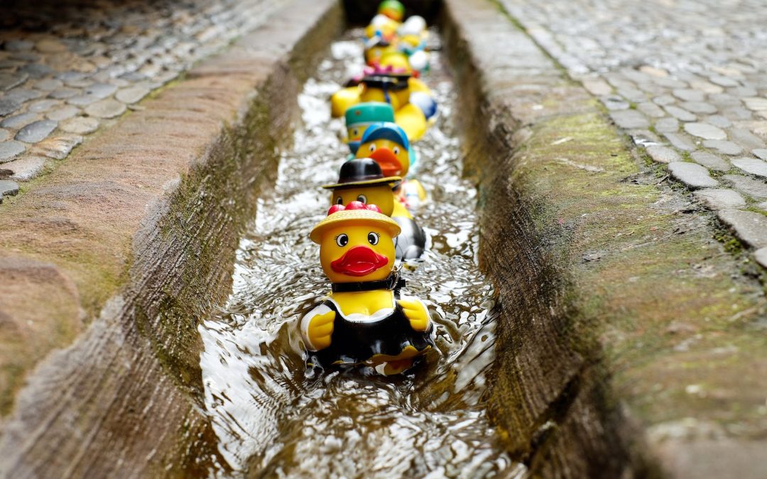 Les principales actions 2023